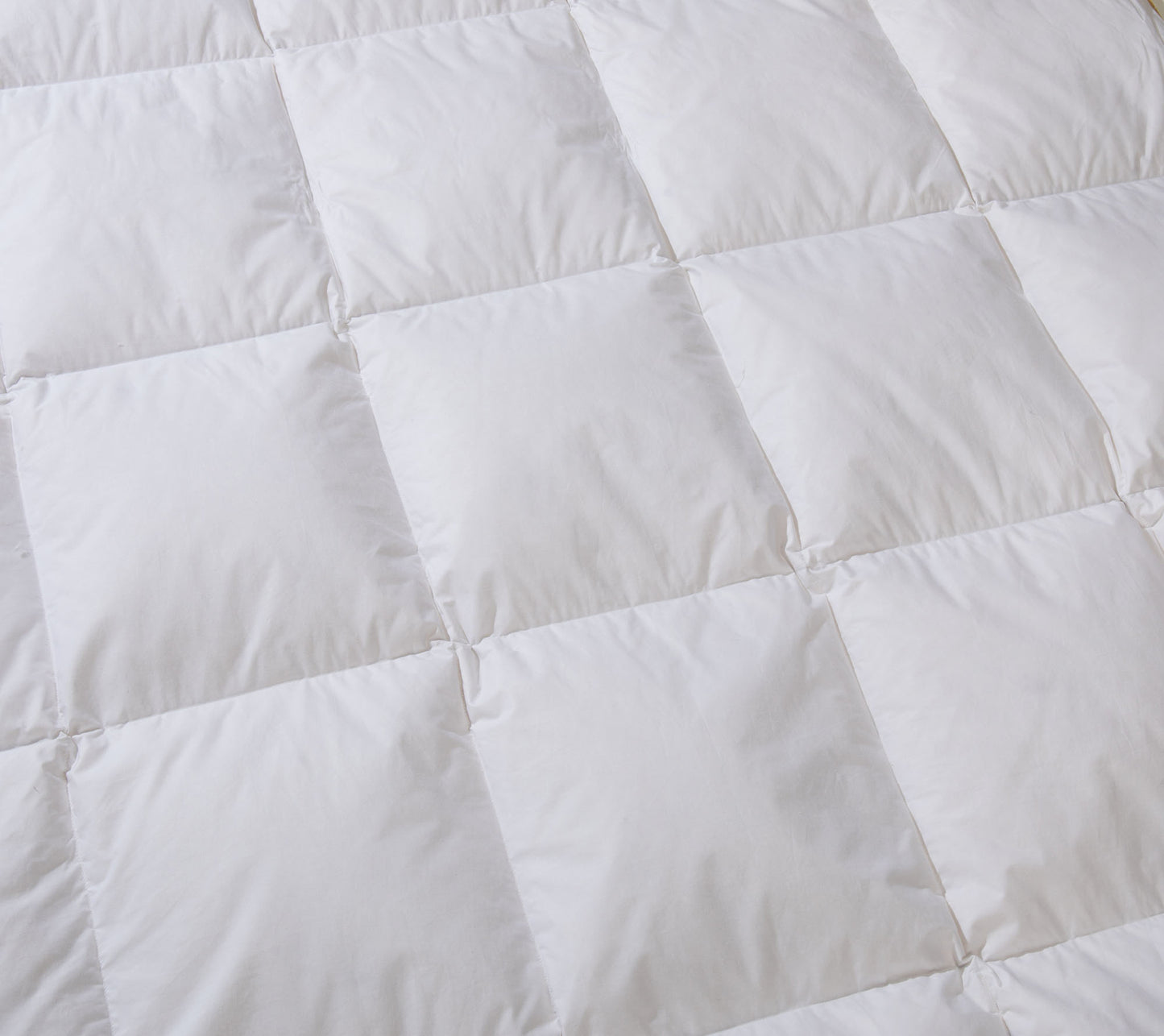 ComfortAce® Nocturne 90% Ganzendons Enkel Dekbed [A99026]